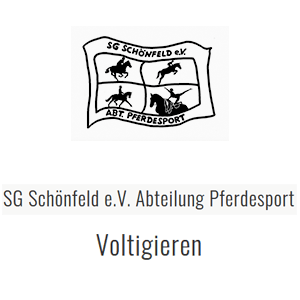 Pferdesport Voltigieren